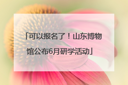 可以报名了！山东博物馆公布6月研学活动