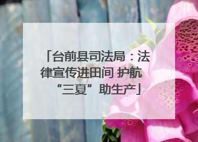 台前县司法局：法律宣传进田间 护航“三夏”助生产