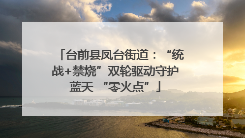 台前县凤台街道：“统战+禁烧”双轮驱动守护蓝天 “零火点”