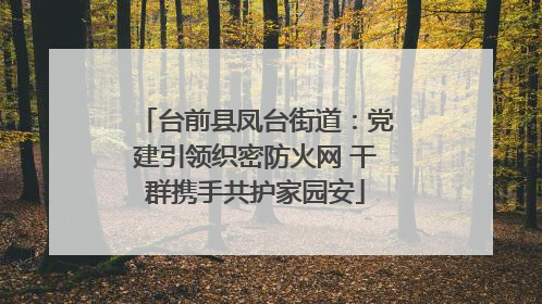 台前县凤台街道：党建引领织密防火网 干群携手共护家园安