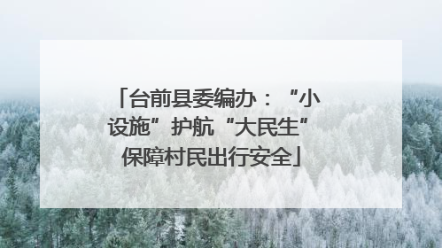 台前县委编办：“小设施”护航“大民生” 保障村民出行安全
