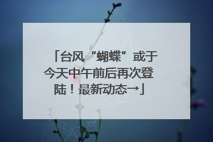 台风“蝴蝶”或于今天中午前后再次登陆！最新动态→