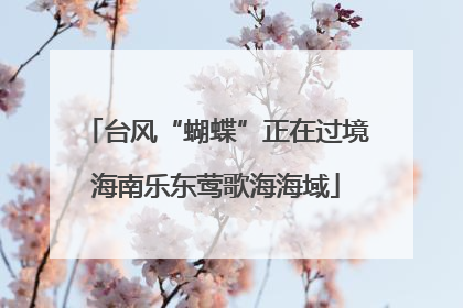 台风“蝴蝶”正在过境海南乐东莺歌海海域