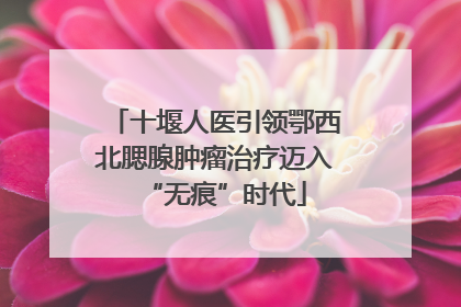 十堰人医引领鄂西北腮腺肿瘤治疗迈入“无痕”时代