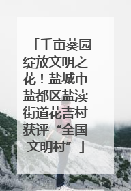 千亩葵园绽放文明之花！盐城市盐都区盐渎街道花吉村获评“全国文明村”