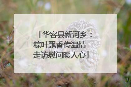 华容县新河乡：粽叶飘香传温情 走访慰问暖人心