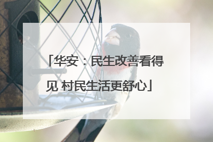 华安：民生改善看得见 村民生活更舒心
