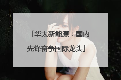 华太新能源：国内先锋奋争国际龙头