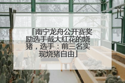 南宁龙舟公开赛奖励选手戴大红花的烧猪，选手：前三名实现烧猪自由