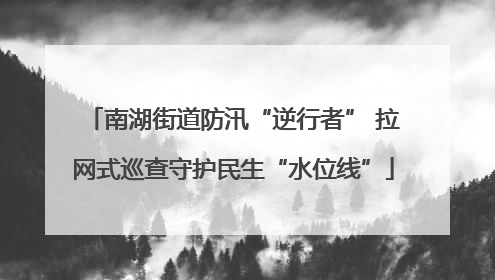 南湖街道防汛“逆行者” 拉网式巡查守护民生“水位线”