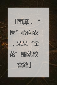 南漳：“医”心向农，朵朵“金花”铺就致富路