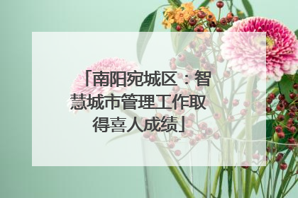 南阳宛城区：智慧城市管理工作取得喜人成绩