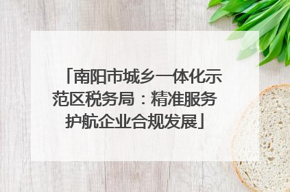 南阳市城乡一体化示范区税务局：精准服务护航企业合规发展