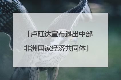 卢旺达宣布退出中部非洲国家经济共同体