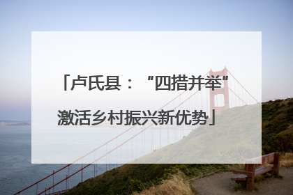 卢氏县：“四措并举”激活乡村振兴新优势