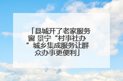 县城开了老家服务窗 景宁“村事社办”城乡集成服务让群众办事更便利