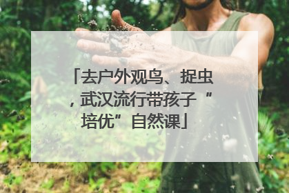 去户外观鸟、捉虫，武汉流行带孩子“培优”自然课