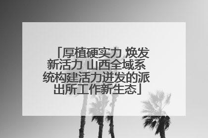 厚植硬实力 焕发新活力 山西全域系统构建活力迸发的派出所工作新生态