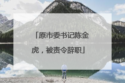 原市委书记陈金虎，被责令辞职