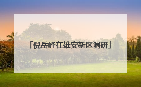 倪岳峰在雄安新区调研