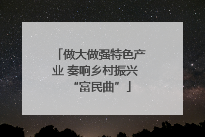 做大做强特色产业 奏响乡村振兴“富民曲”