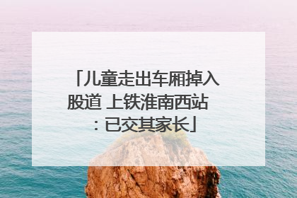 儿童走出车厢掉入股道 上铁淮南西站：已交其家长