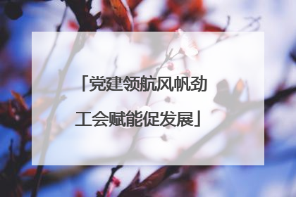 党建领航风帆劲 工会赋能促发展