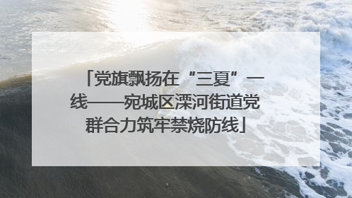 党旗飘扬在“三夏”一线——宛城区溧河街道党群合力筑牢禁烧防线