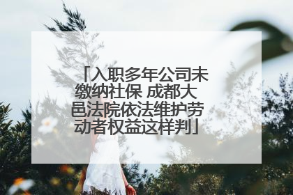 入职多年公司未缴纳社保 成都大邑法院依法维护劳动者权益这样判