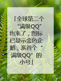 全球第二个“满级QQ”也来了，图标已显示金色企鹅，系首个“满级QQ”的小号