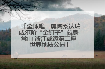 全球唯一奥陶系达瑞威尔阶“金钉子”藏身常山 浙江或添第二座世界地质公园