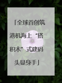 全球首创筑港机海上“搭积木”式建码头显身手