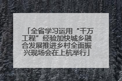 全省学习运用“千万工程”经验加快城乡融合发展推进乡村全面振兴现场会在上杭举行
