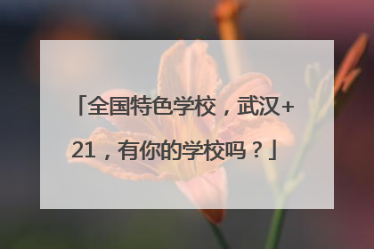 全国特色学校，武汉+21，有你的学校吗？