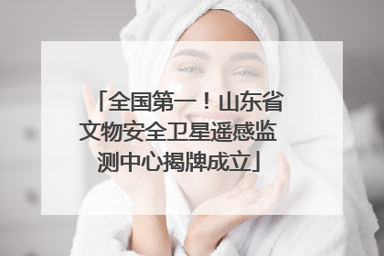 全国第一！山东省文物安全卫星遥感监测中心揭牌成立
