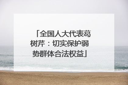 全国人大代表葛树芹：切实保护弱势群体合法权益