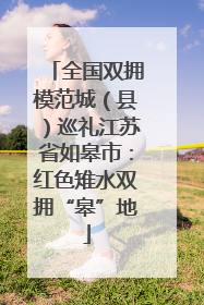 全国双拥模范城（县）巡礼江苏省如皋市：红色雉水双拥“皋”地