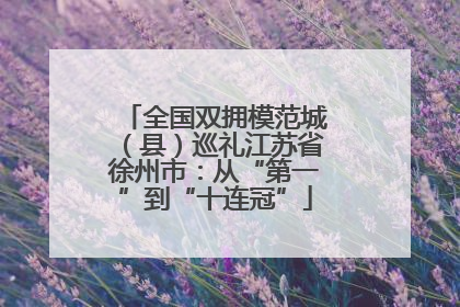 全国双拥模范城（县）巡礼江苏省徐州市：从“第一”到“十连冠”