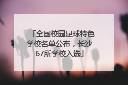 全国校园足球特色学校名单公布，长沙67所学校入选