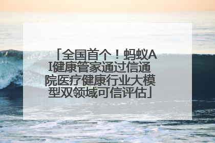 全国首个！蚂蚁AI健康管家通过信通院医疗健康行业大模型双领域可信评估