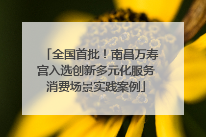 全国首批！南昌万寿宫入选创新多元化服务消费场景实践案例