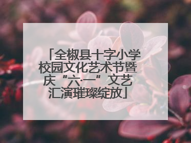 全椒县十字小学校园文化艺术节暨庆“六·一”文艺汇演璀璨绽放