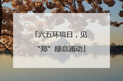 六五环境日，见“郑”绿意涌动