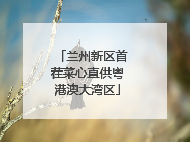 兰州新区首茬菜心直供粤港澳大湾区