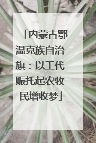 内蒙古鄂温克族自治旗：以工代赈托起农牧民增收梦