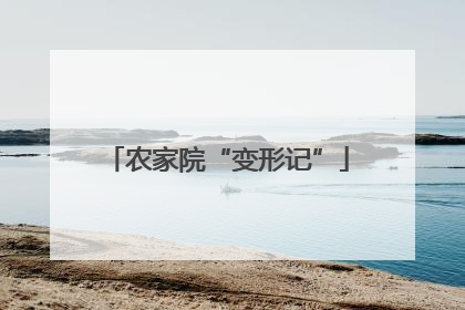 农家院“变形记”