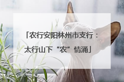 农行安阳林州市支行：太行山下“农”情涌