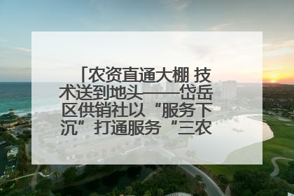 农资直通大棚 技术送到地头——岱岳区供销社以“服务下沉”打通服务“三农”最后一公里