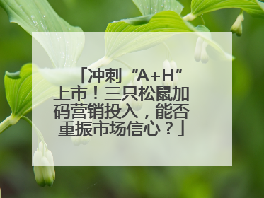 冲刺“A+H”上市！三只松鼠加码营销投入，能否重振市场信心？