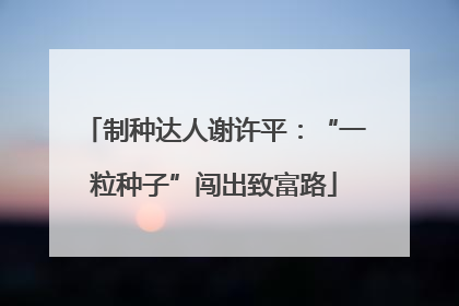 制种达人谢许平：“一粒种子”闯出致富路